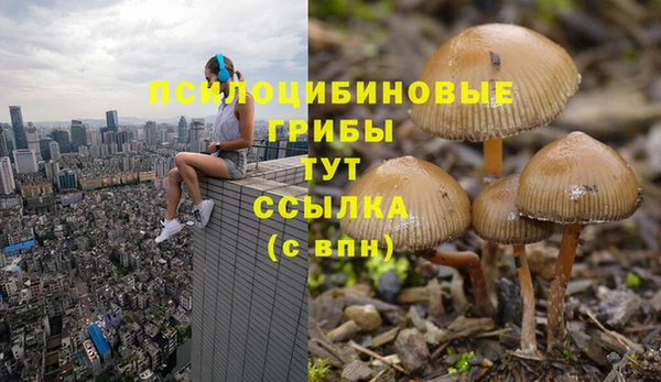 a pvp Богородск