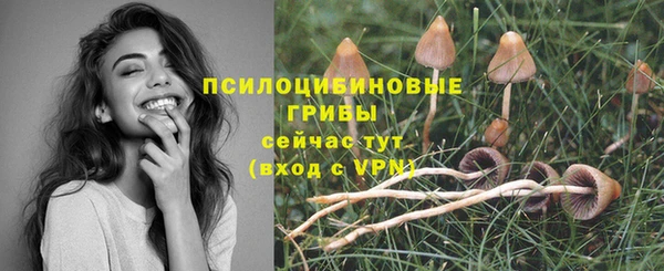 бошки Бронницы