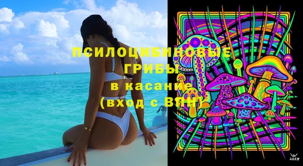 первитин Богородицк