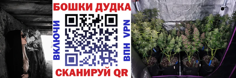где продают наркотики  Катайск  Шишки марихуана тримм 